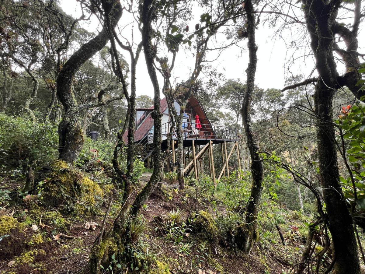 Mirador Bosque Gran Torino Neusa Cogua Exterior foto