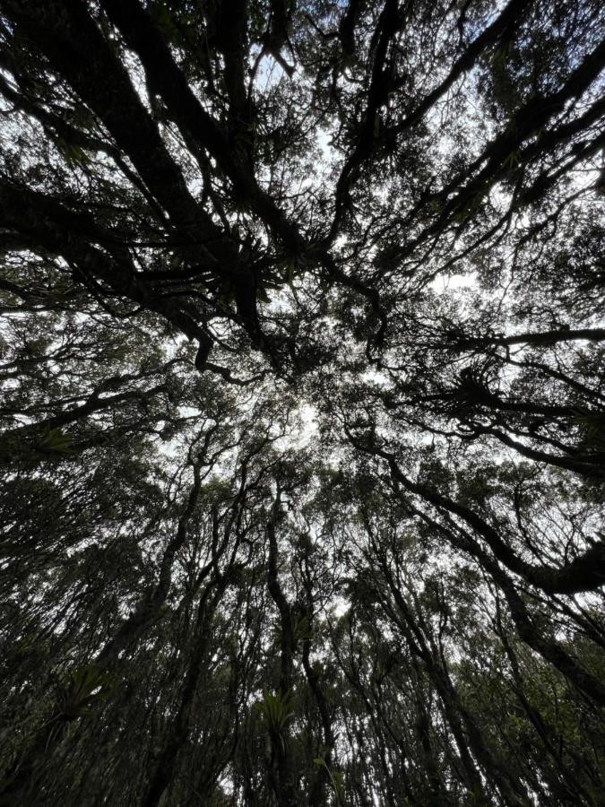 Mirador Bosque Gran Torino Neusa Cogua Exterior foto